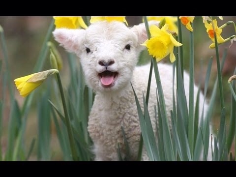 Ellie Rogan Cup back in Aughadarragh!